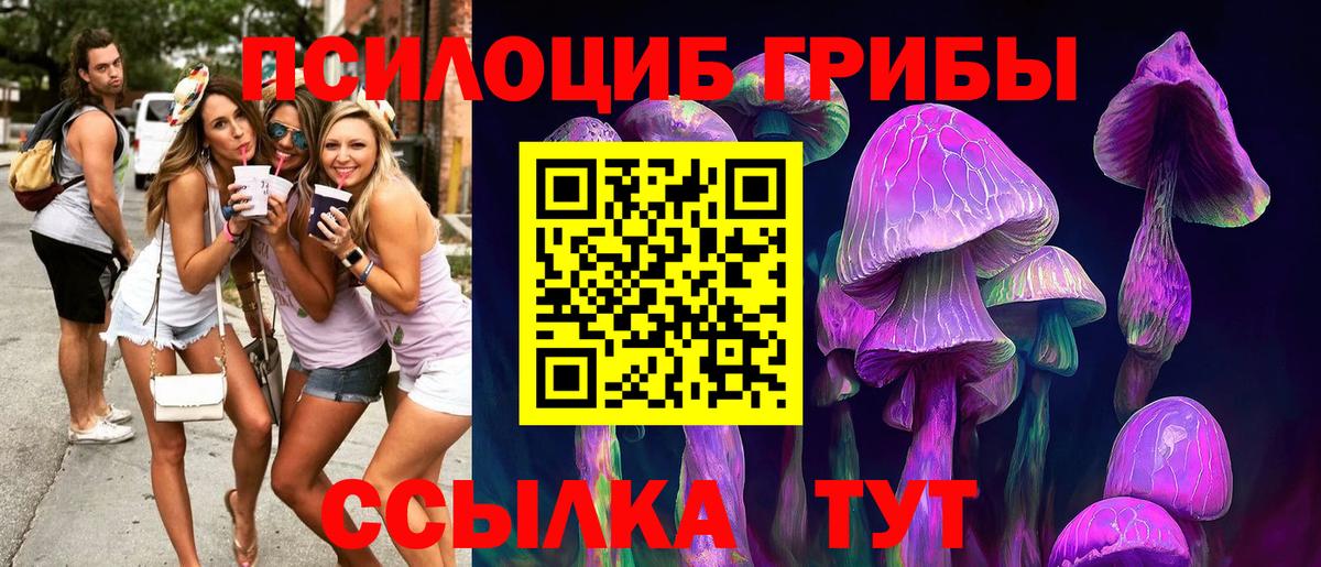 Псилоцибиновые грибы Psilocybe  Галлюциногенные грибы Cubensis  Вход с VPN  Нововоронеж 